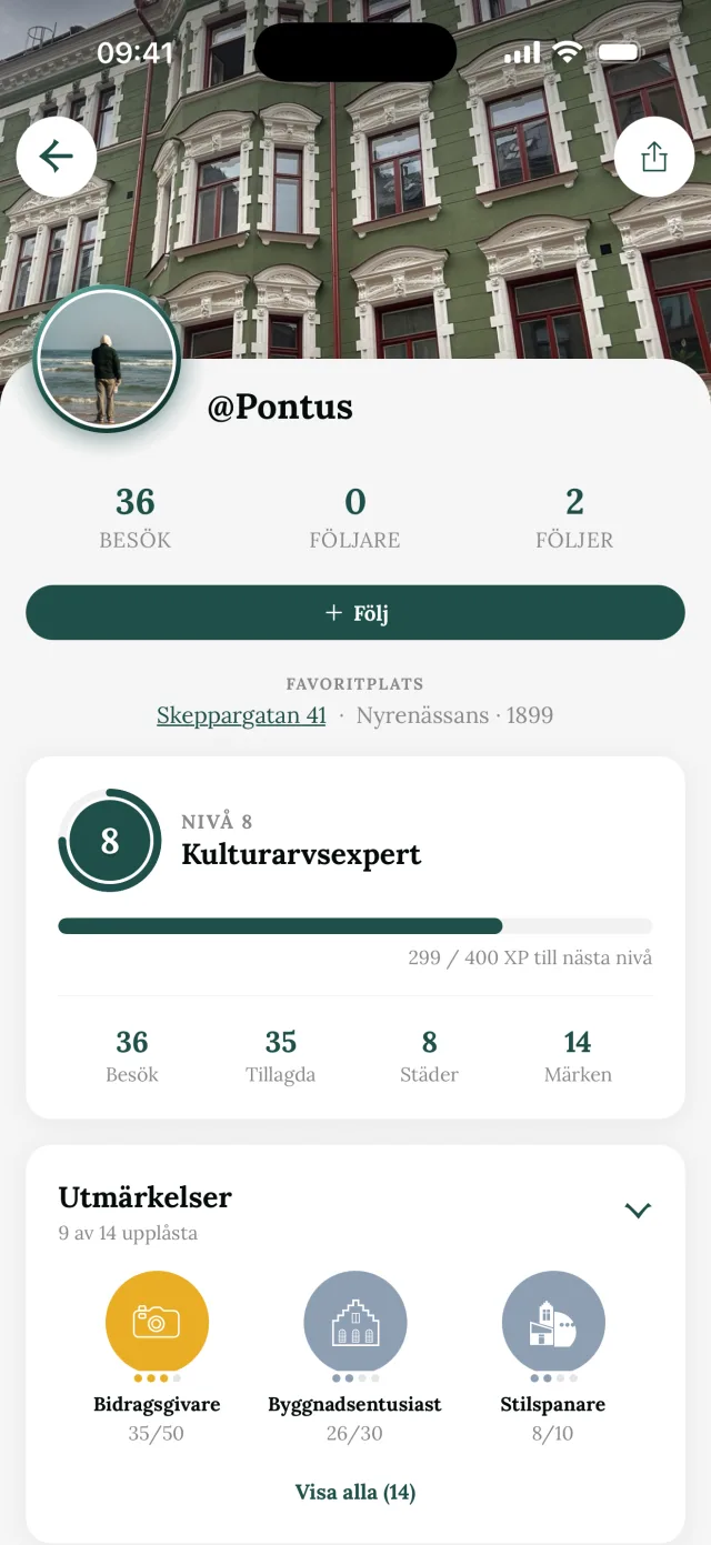 Profilen med nivå och märken